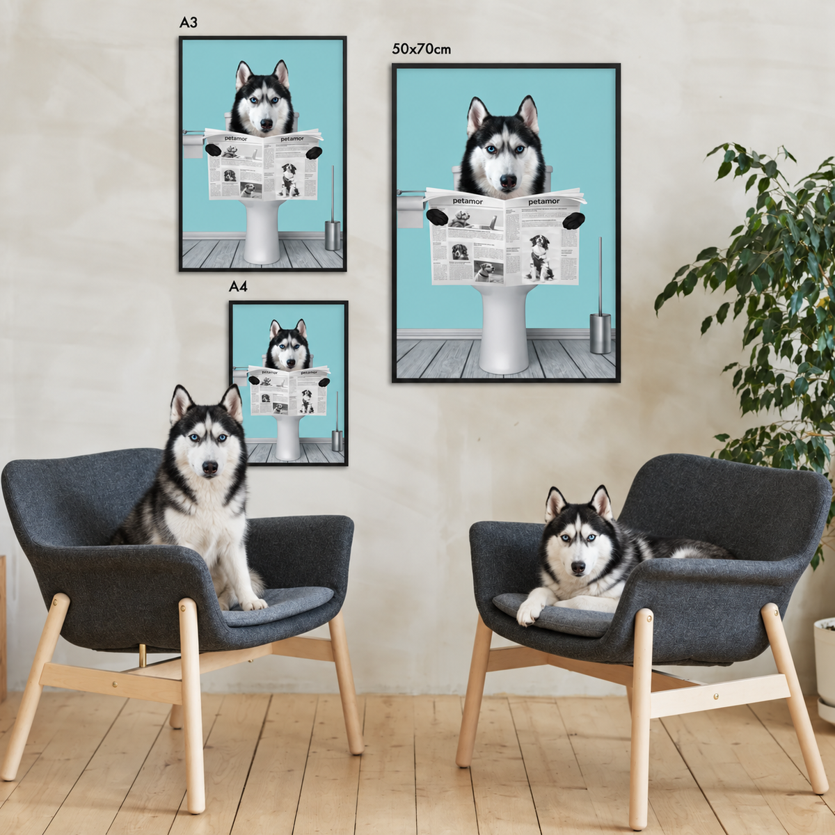 Tres pósters personalizados de un husky leyendo el periódico en marcos negros. Sillas y planta al fondo.