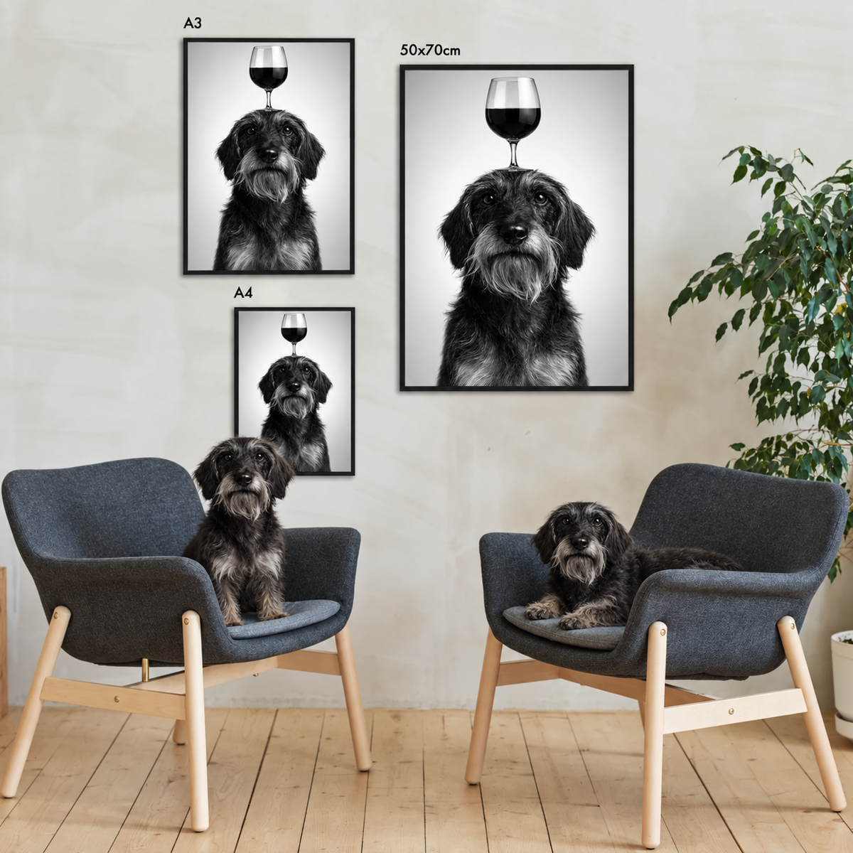 Pósters personalizados con perro y copa de vino, tamaños A3 y A4, con marcos modernos.