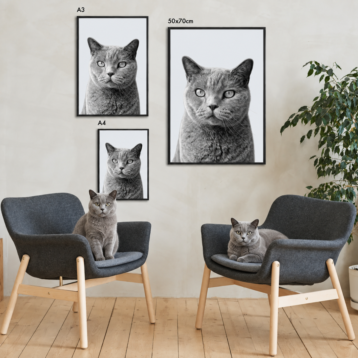Tres retratos enmarcados de un gato atigrado gris en un espacio moderno.