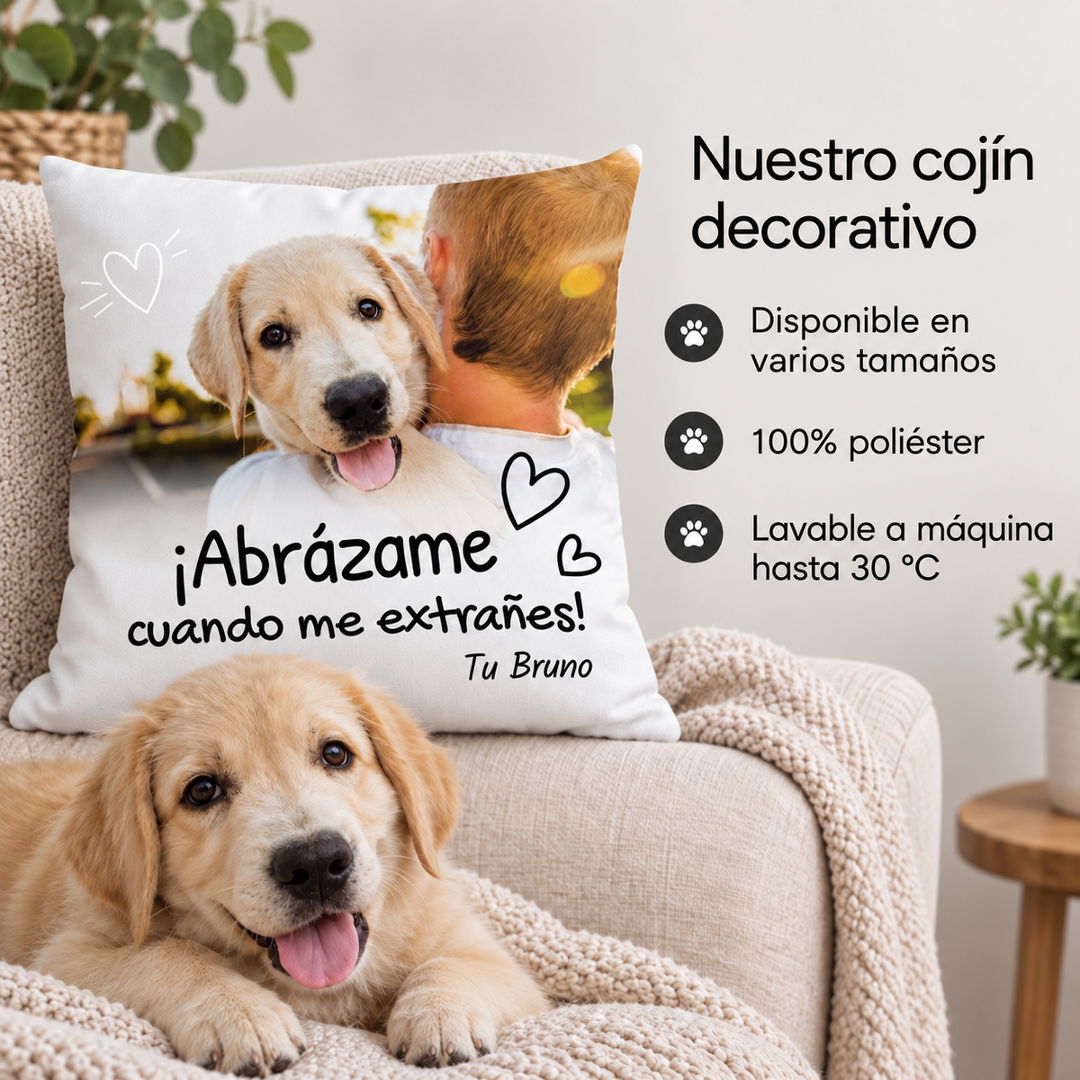 Cojín personalizado – Abrázame
