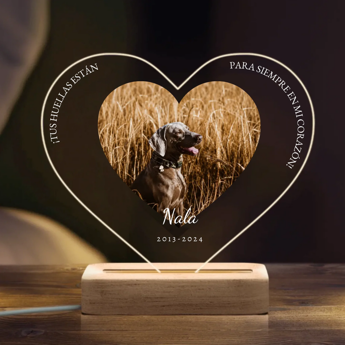 Lámpara de noche LED personalizada – Recuerdo cariñoso – imagen del producto 3 de 3
