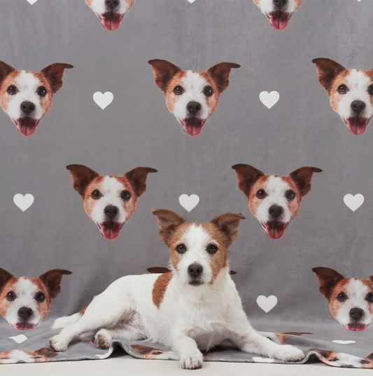 Manta para mascotas gris personalizada con cabezas de perros y corazones, animal tumbado en primer plano.