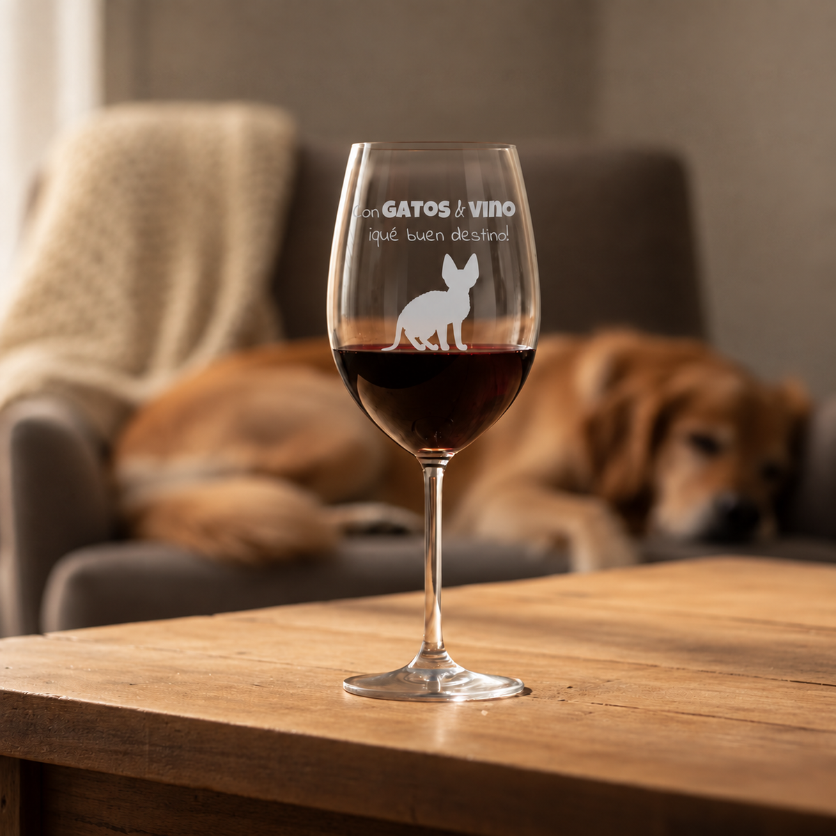 Con gatos & vino – 01