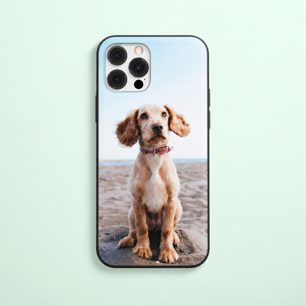 Funda de móvil con foto de un perro sentado en la playa, borde negro.