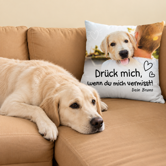 Cojín beige con texto y motivo de perro, sobre un sofá junto a un labrador.