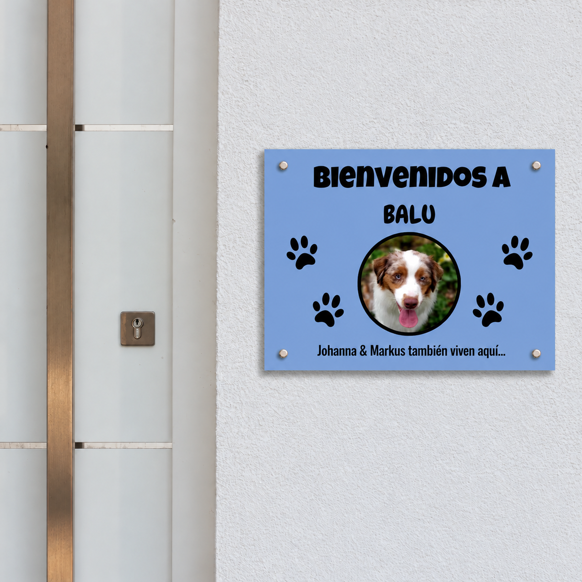 PetAmor ES – Türschild Balu Foto – 02