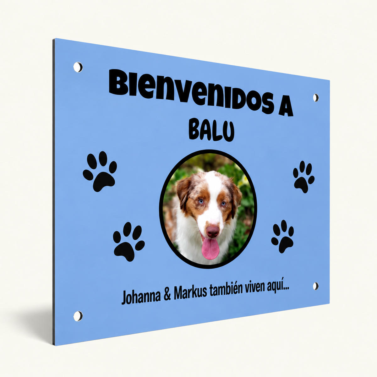 PetAmor ES – Türschild Balu Foto – 03