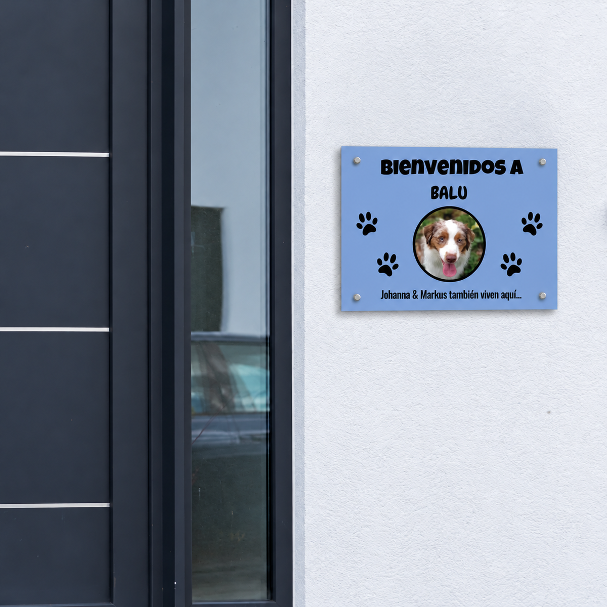 PetAmor ES – Türschild Balu Foto – 04