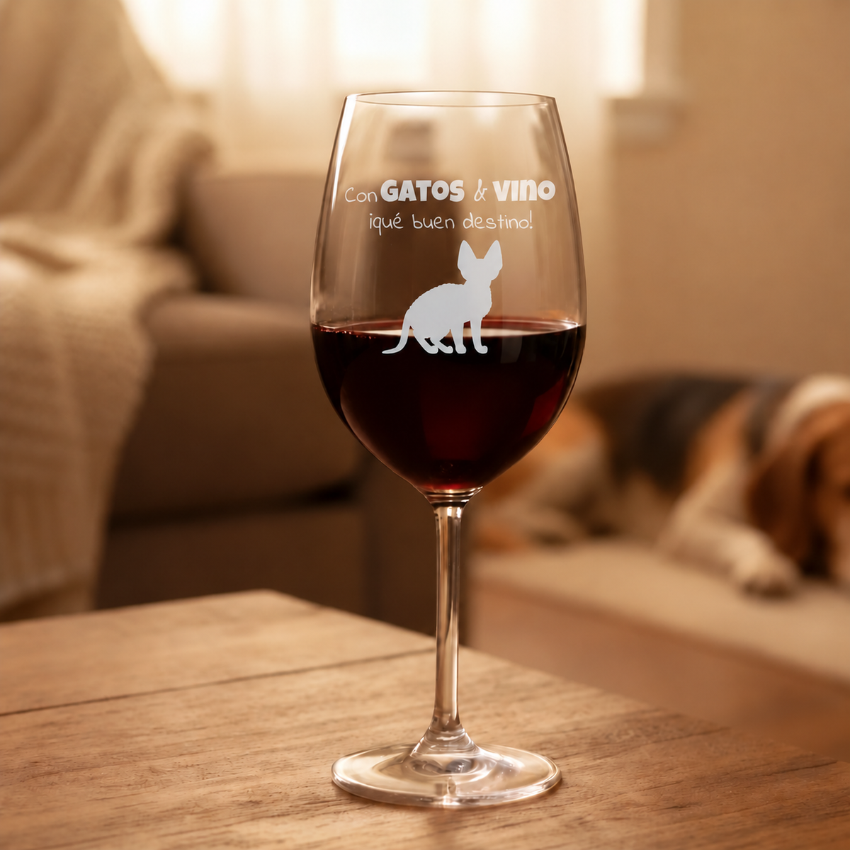 Con gatos & vino – 05