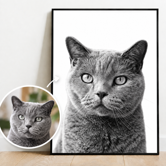 Póster personalizado con retrato de gato gris en blanco y negro. Incluye una imagen más pequeña en color.