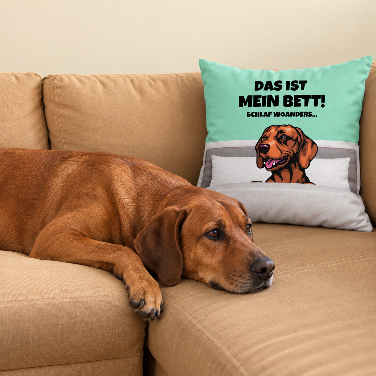 Cojín personalizable con diseño de perro verde menta y tela gris en un sofá. Perro tumbado al lado.