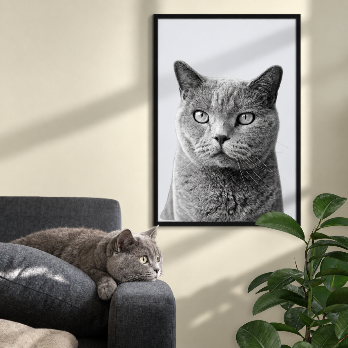 Póster personalizado enmarcado con retrato en blanco y negro de un gato gris. Gato tumbado en un sofá.
