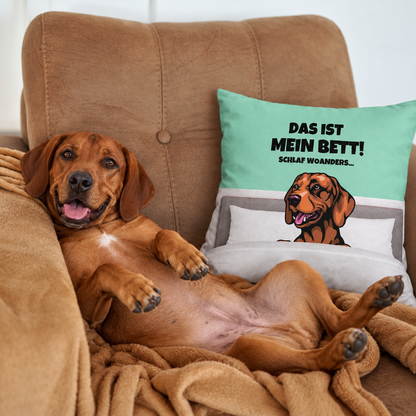Cojín marrón de perro con el texto "Das ist mein Bett!" sobre fondo turquesa, perro relajado en un sofá.