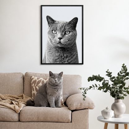 Retrato gris de mascota enmarcado sobre un sofá beige con un gato gris parecido delante.