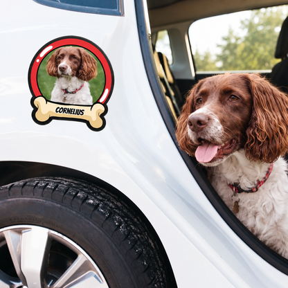 Pegatina de coche personalizada con foto de perro y el nombre "CORNELIUS" en la puerta de un coche blanco.