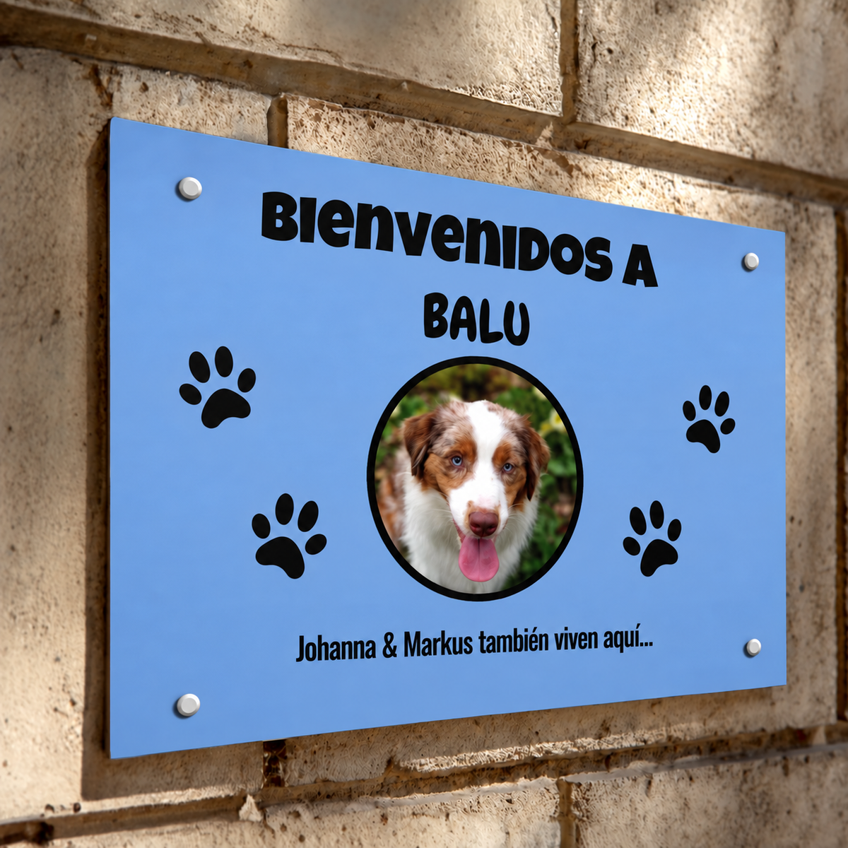 PetAmor ES – Türschild Balu Foto – 05