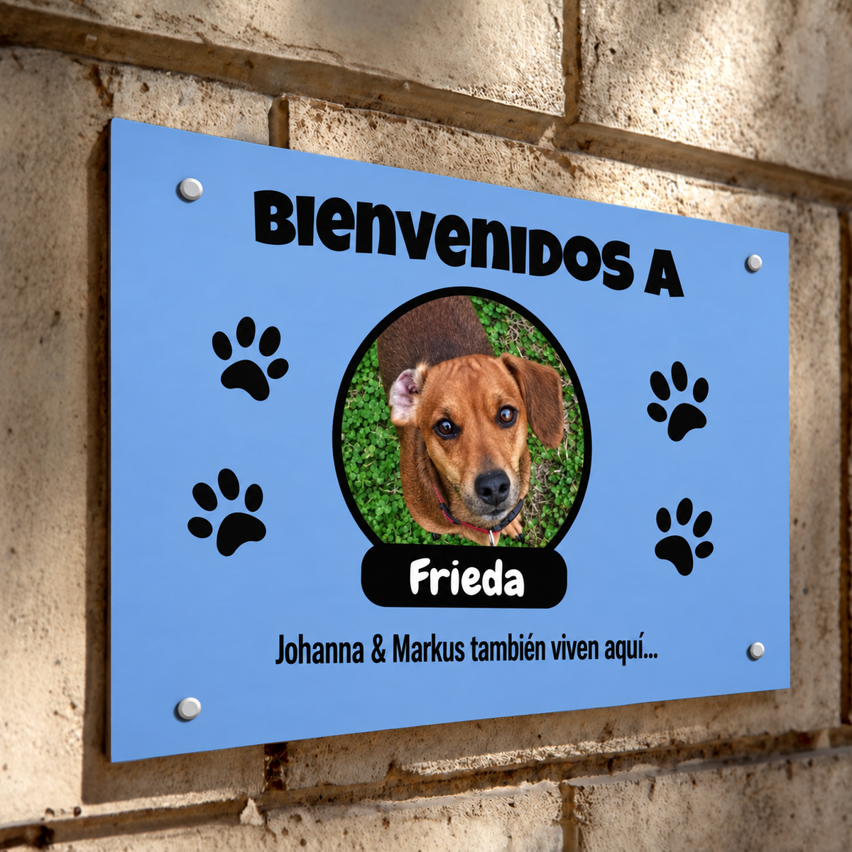 PetAmor ES – Türschild Frieda Foto mit Name – 05