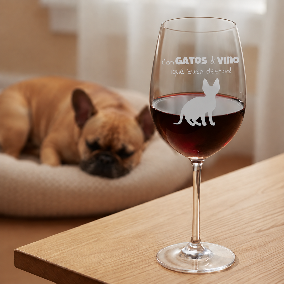 Con gatos & vino – 06