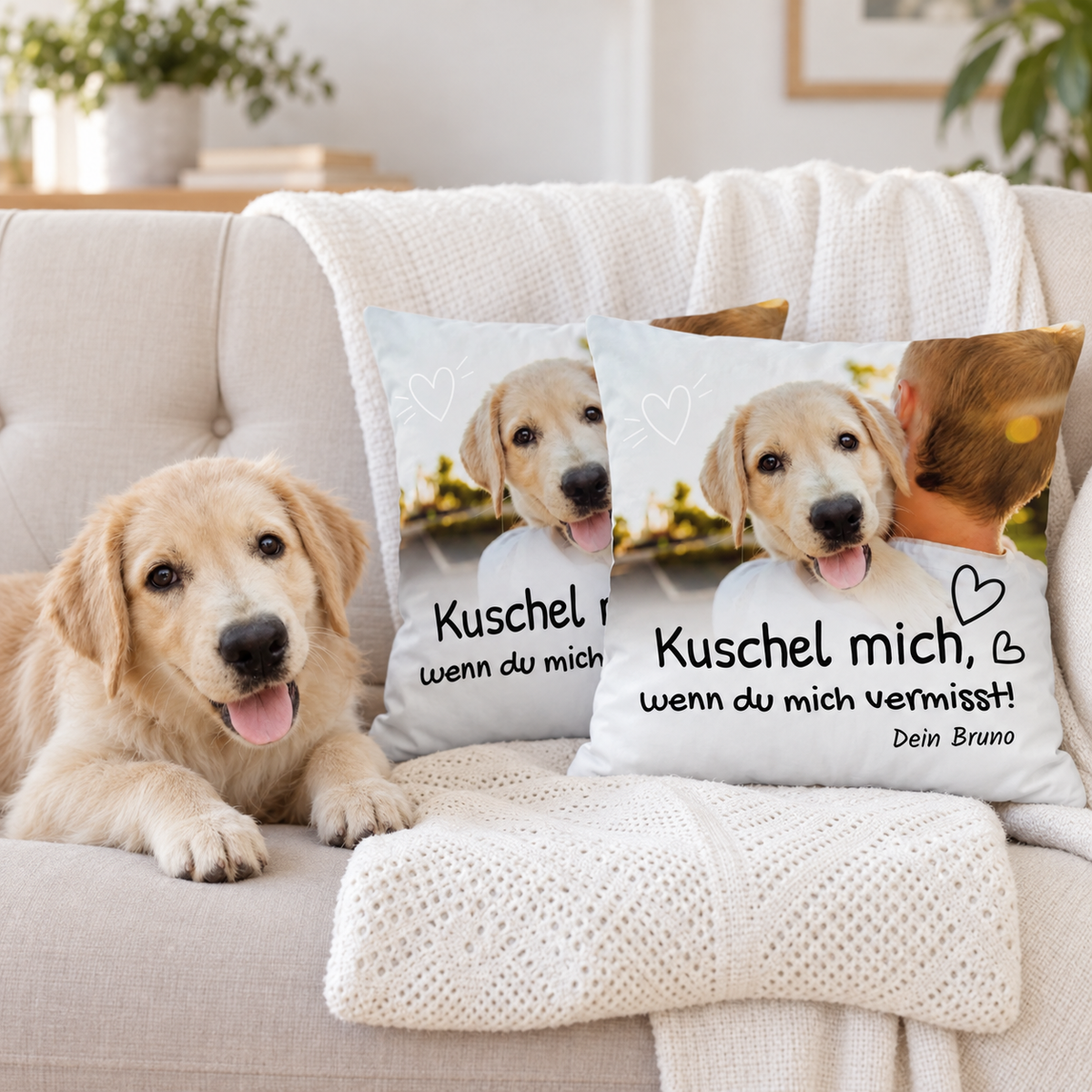 Dos cojines personalizados con motivo de perro y texto, en un sofá junto a un perro.