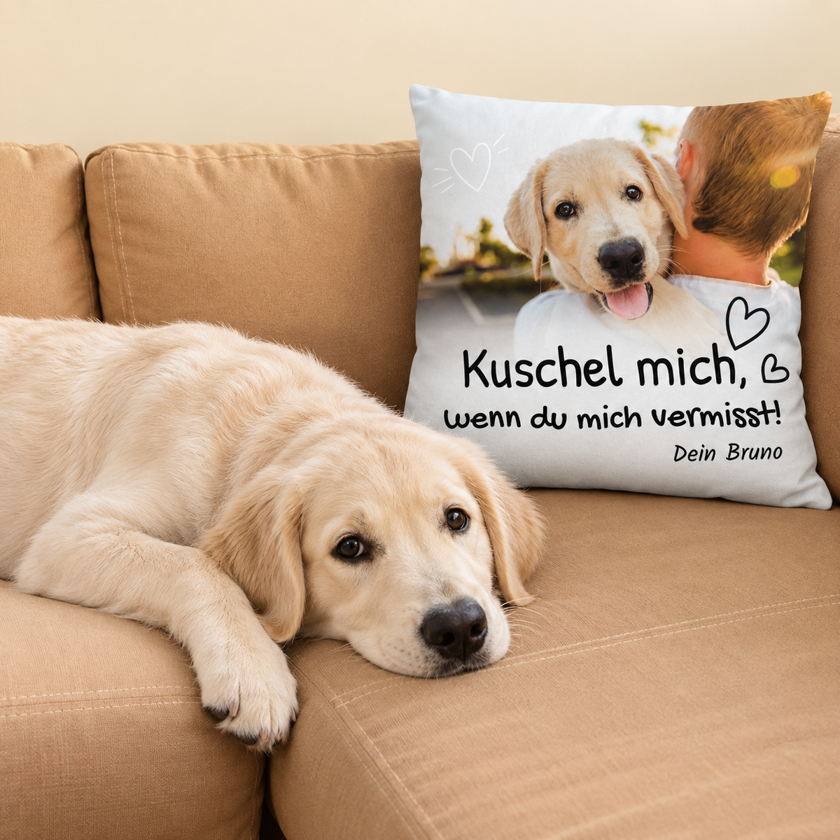 Cojín personalizado con texto y foto de un perro, sobre un sofá junto a un labrador.
