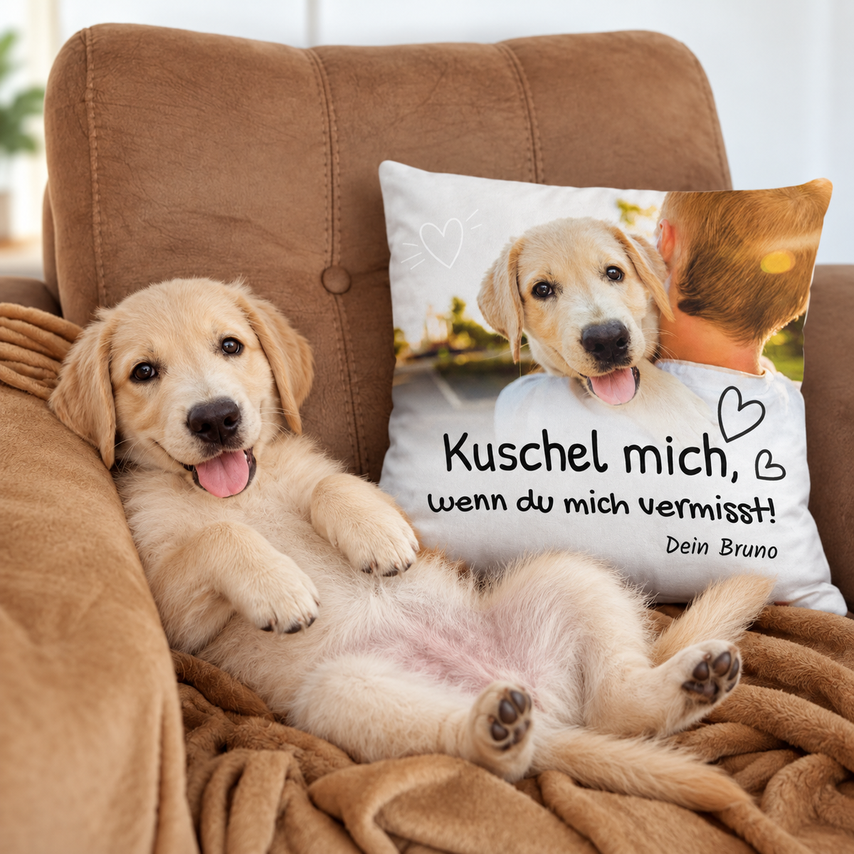 Cojín con el texto "Kuschel mich, wenn du mich vermisst!" y un motivo de perro.