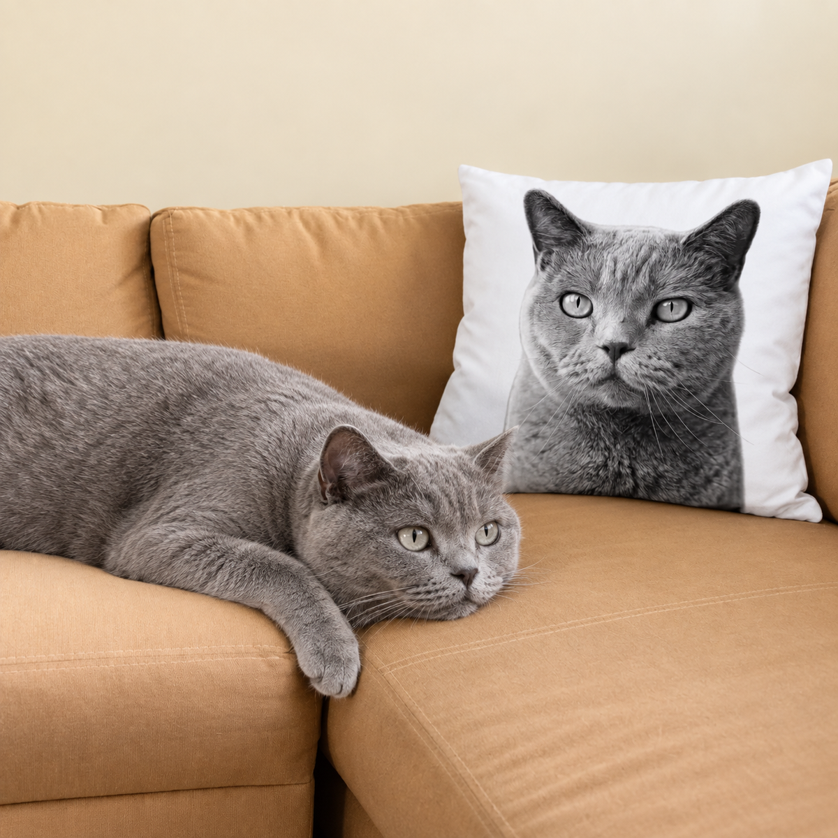 Cojín gris y blanco con retrato de mascota en un sofá marrón, un gato gris al lado.