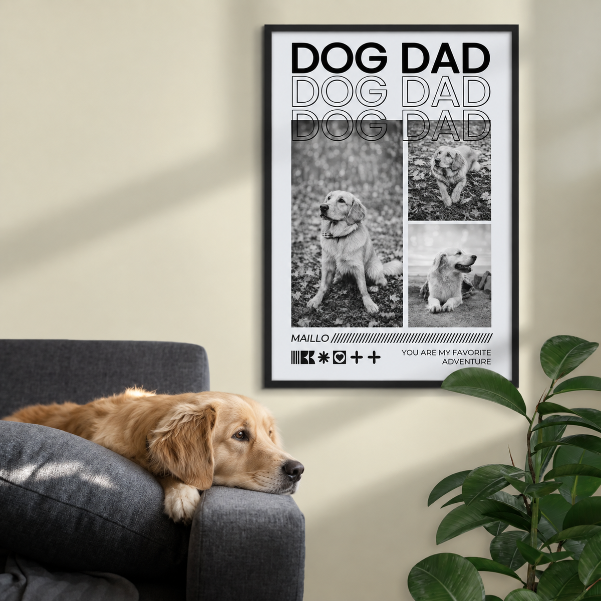 Póster enmarcado con "DOG DAD" y tres fotos en blanco y negro de un perro, junto a un perro en un sofá.