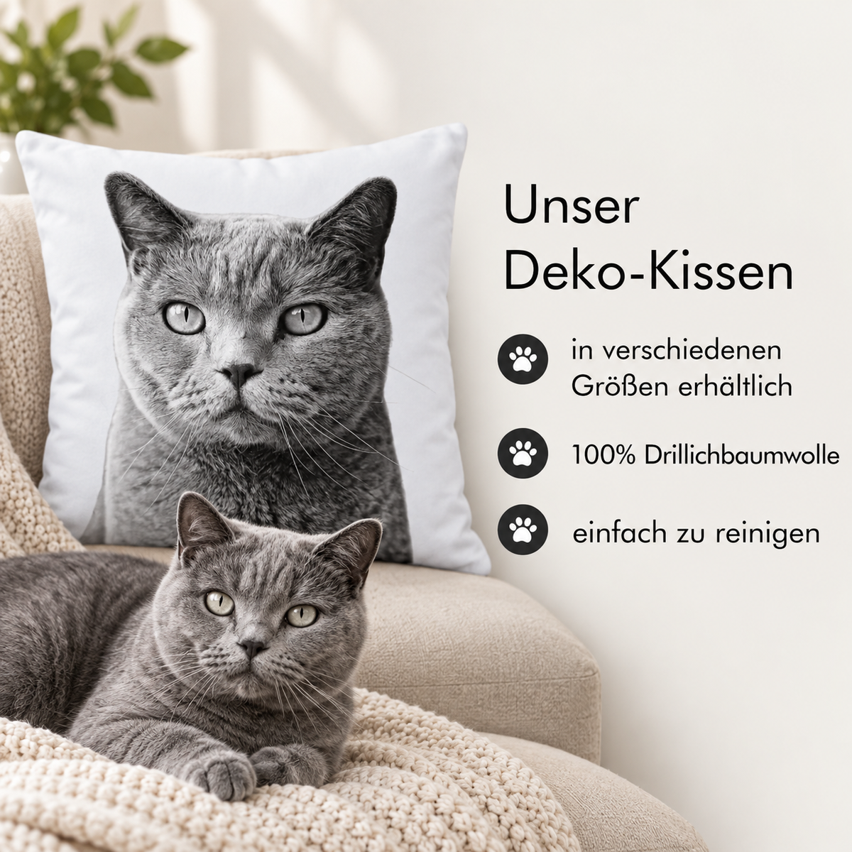 Cojín con retrato gris de mascota y un gato gris real en un sillón acogedor.