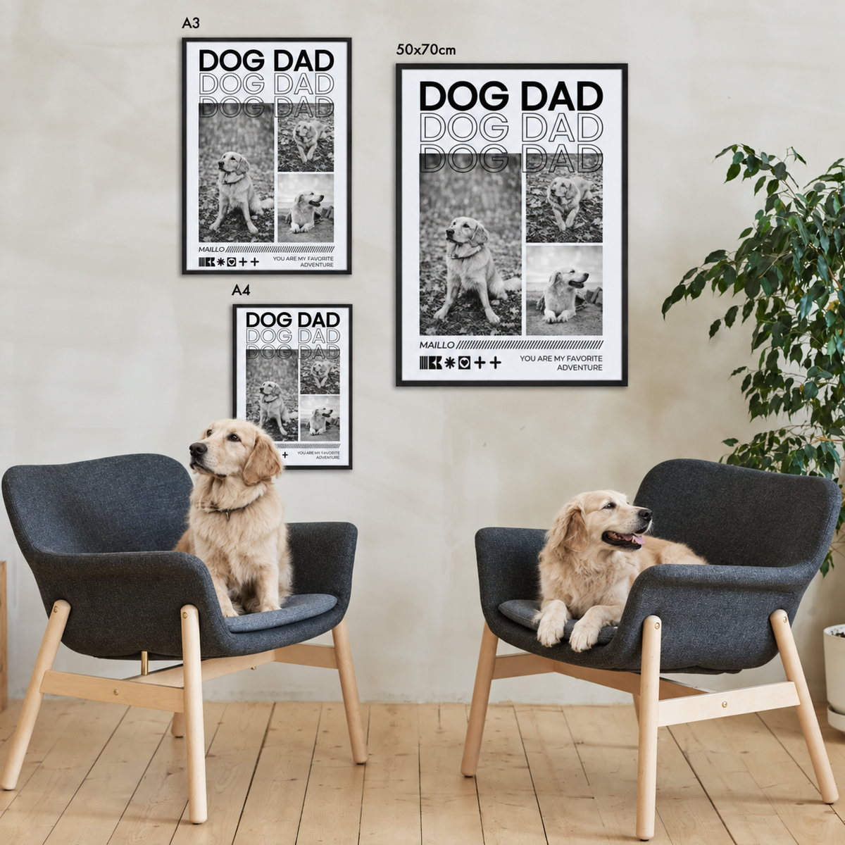 Tres pósters personalizados Dog Dad en distintos tamaños, sin marco en la pared. Dos perros en sillones grises.