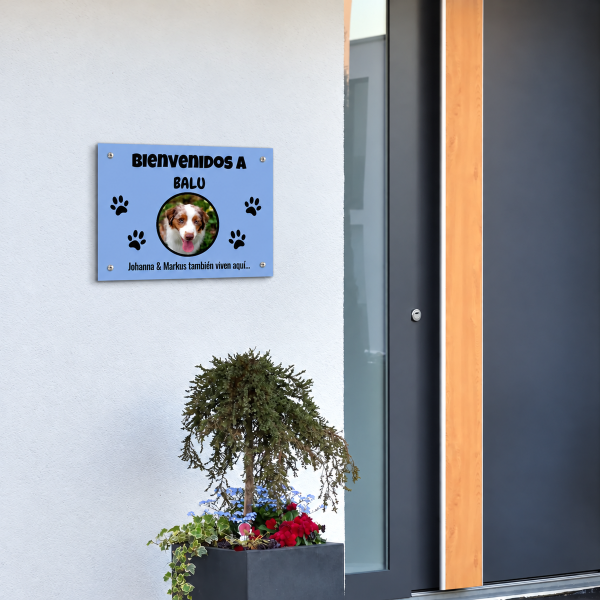PetAmor ES – Türschild Balu Foto – 07