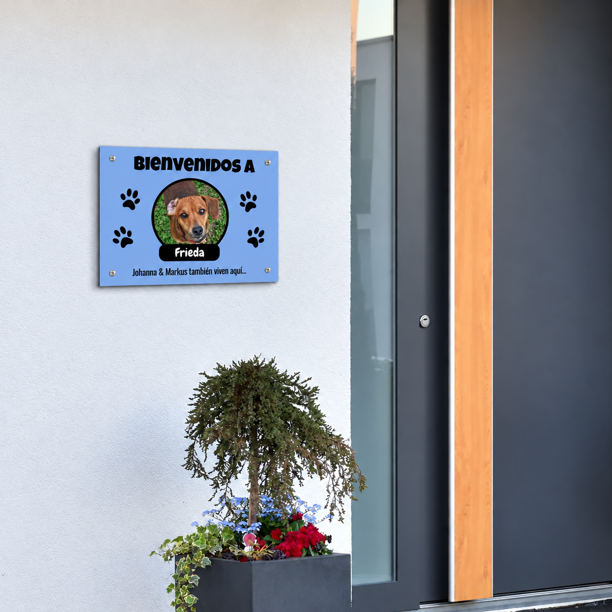 PetAmor ES – Türschild Frieda Foto mit Name – 07