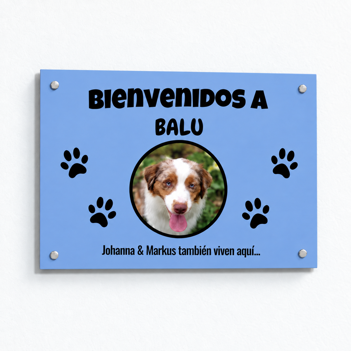 PetAmor ES – Türschild Balu Foto – 08