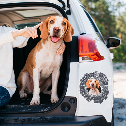 Pegatina de coche personalizada - Foto asomándose para cristal