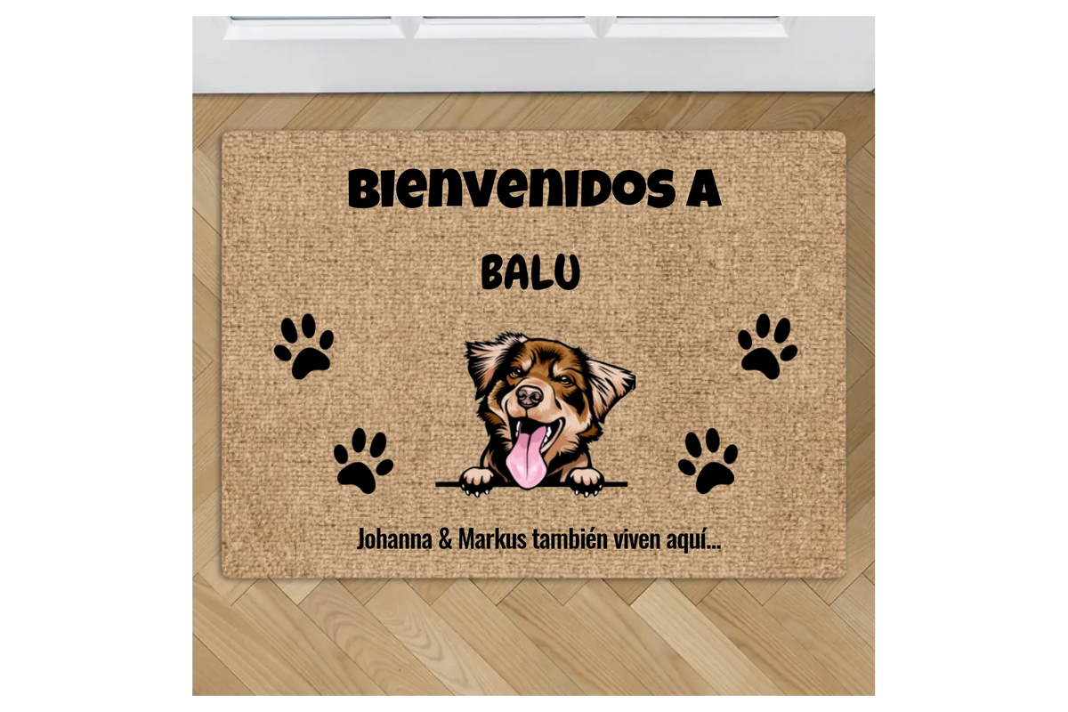 Felpudo personalizado – Bienvenidos – imagen del producto 1 de 1