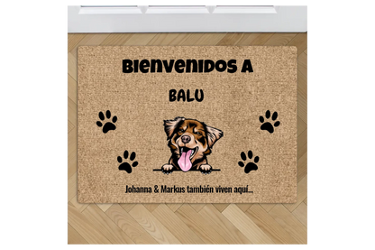 Felpudo personalizado – Bienvenidos – imagen del producto 1 de 1