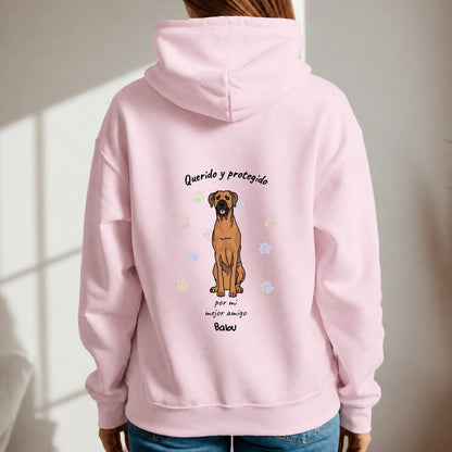 Sudadera con capucha personalizada – Querido y protegido – imagen del producto 2 de 6