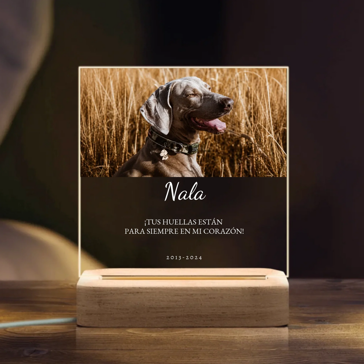 Lámpara de noche LED personalizada – Recuerdo cariñoso – imagen del producto 2 de 3