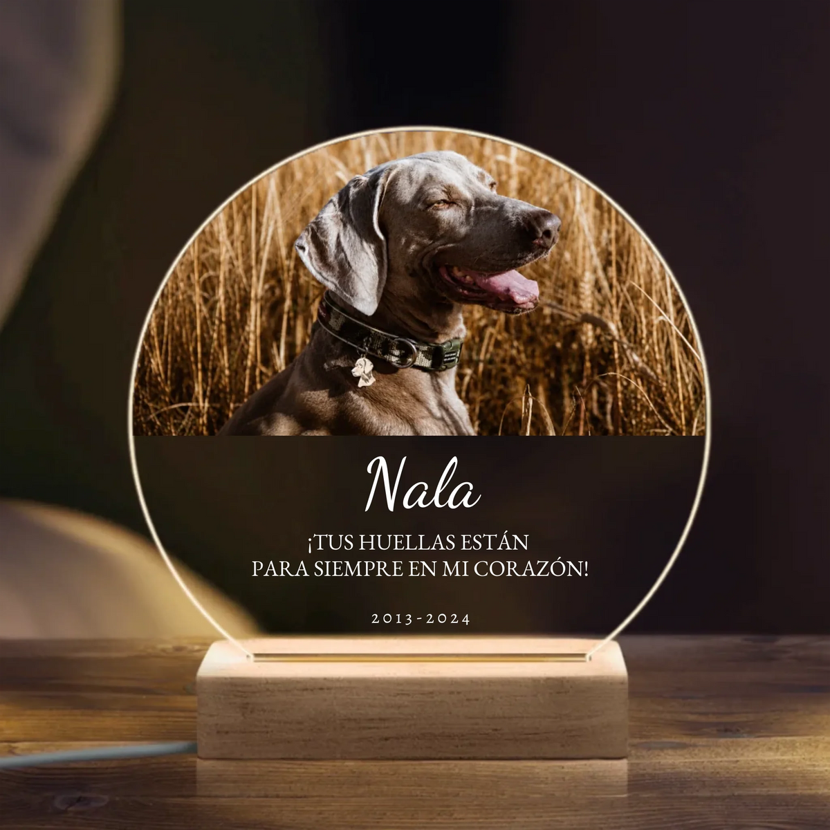Lámpara de noche LED personalizada – Recuerdo cariñoso – imagen del producto 1 de 3