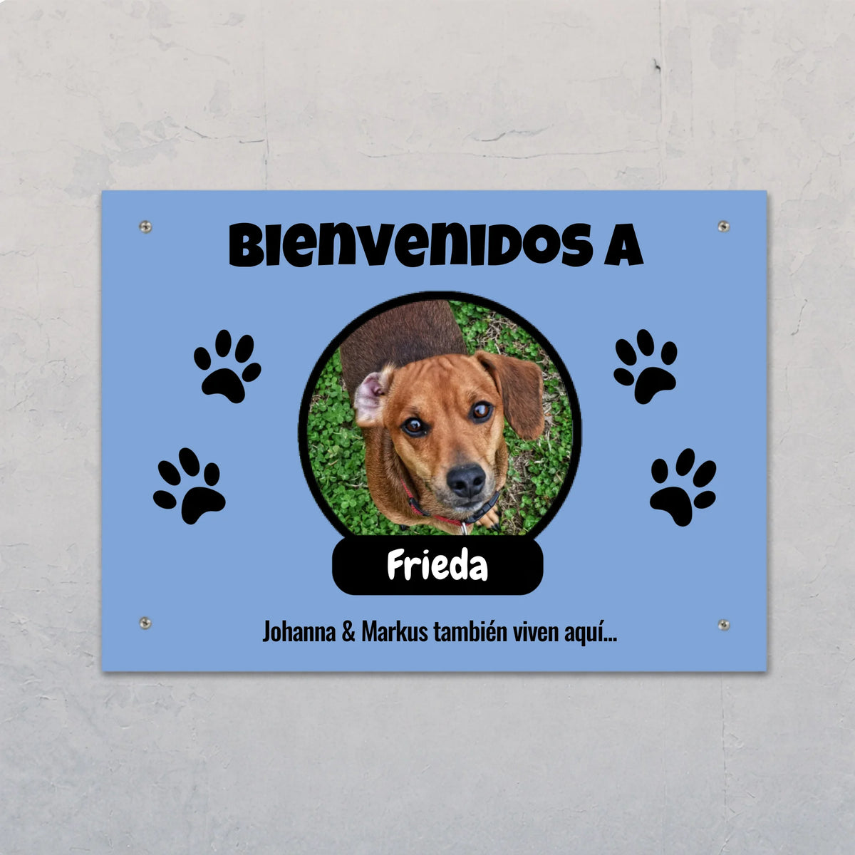 Placa de puerta personalizada – Foto con placa de nombre – imagen del producto 1 de 1