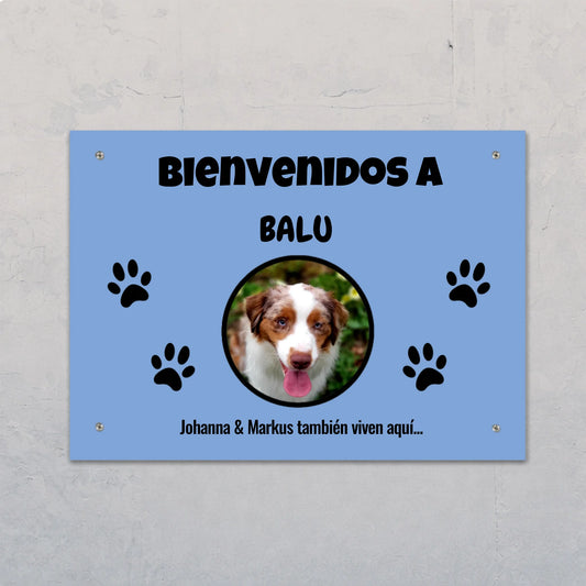 Placa de puerta personalizada – Bienvenidos – imagen del producto 1 de 1