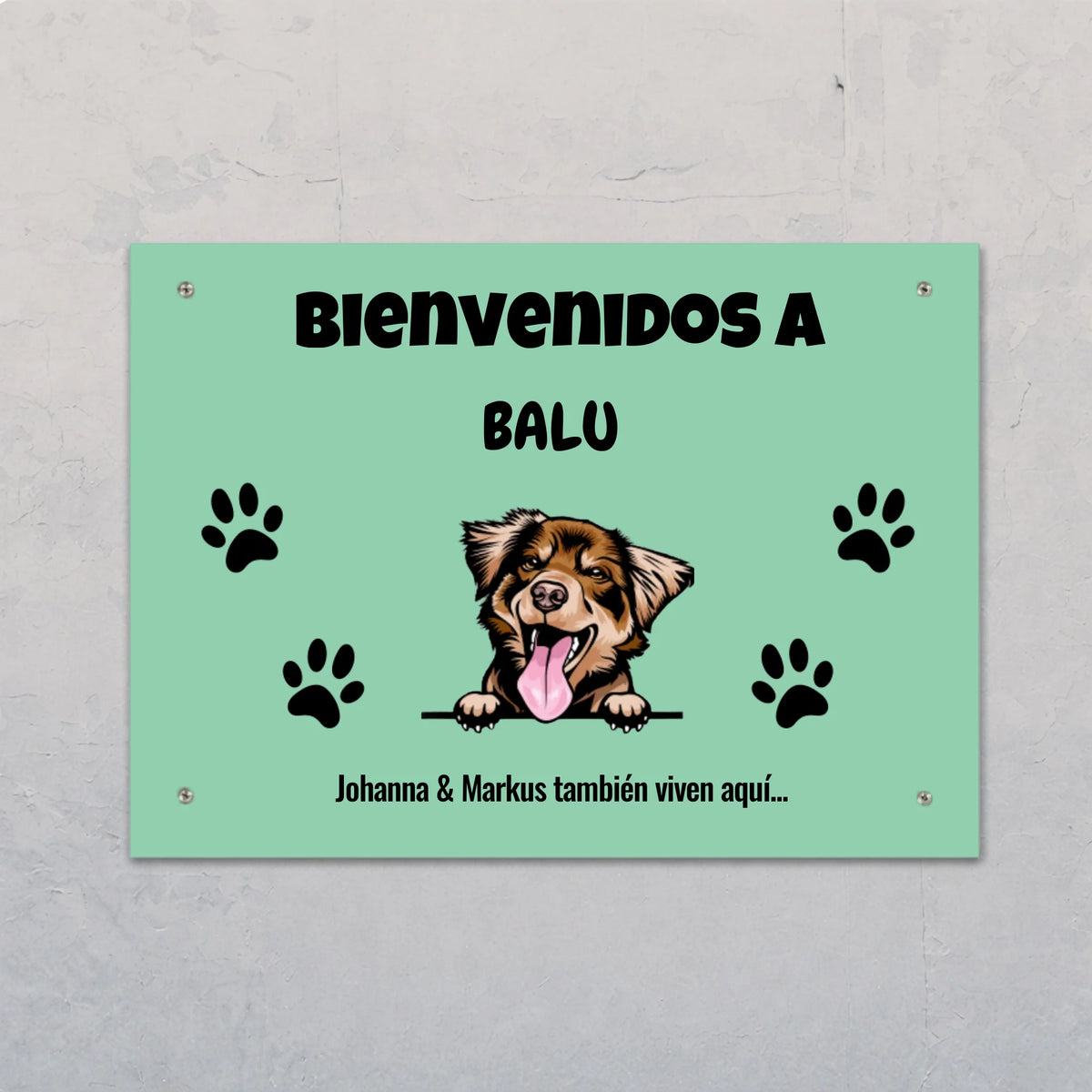 Placa de puerta personalizada – Mascotas curiosas – imagen del producto 1 de 1