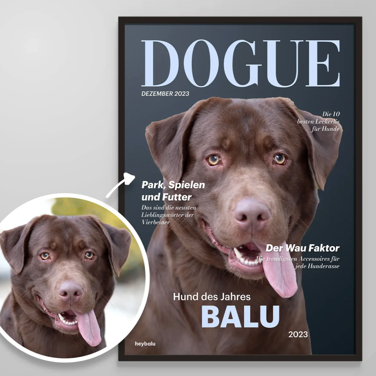 Póster personalizable para perro con un labrador sonriente, diseño moderno y gran texto "DOGUE".