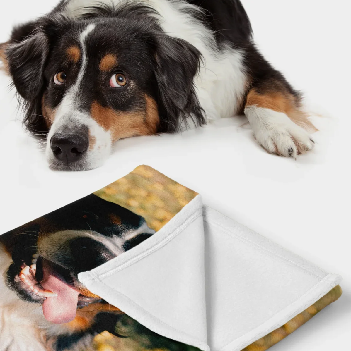 Manta personalizada con foto de un perro, de material suave, se ve un lado con textura esponjosa.