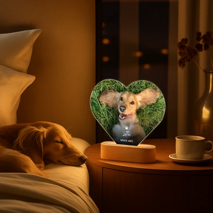 Lámpara de noche LED personalizable en forma de corazón con foto de un perro y base de madera.