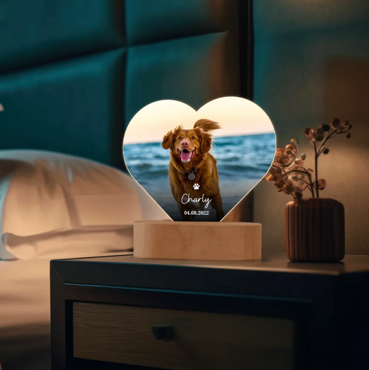 Lámpara de noche LED personalizable en forma de corazón con foto de perro y grabado sobre base de madera.
