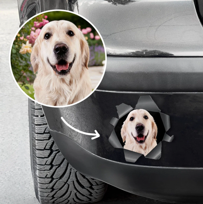 Pegatina de coche personalizada con foto de perro asomándose a través de un efecto de rasgado.