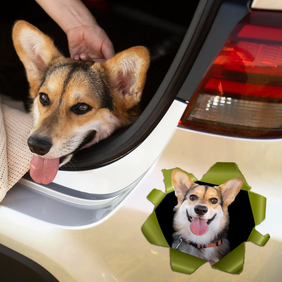 Pegatina de coche personalizada con motivo de perro, muestra un corgi sonriente en una abertura.