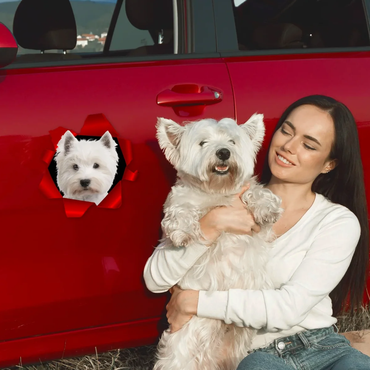 Persona con un perro blanco, coche rojo al fondo, pegatina de coche con foto de perro.