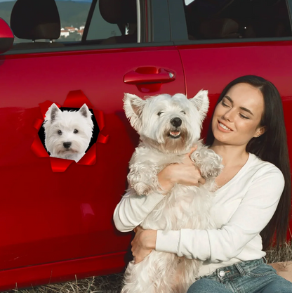 Persona con un perro blanco, coche rojo al fondo, pegatina de coche con foto de perro.