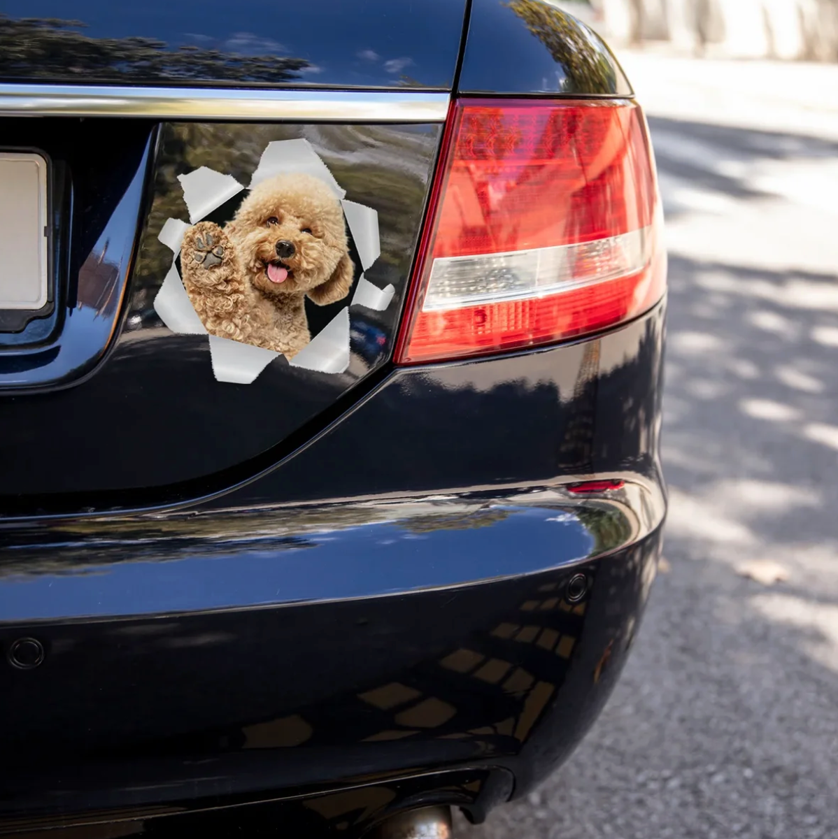 Pegatina de coche con un perro que mira por una grieta en una pared gris, en un coche negro.